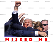 Missed Me DTF Transfer