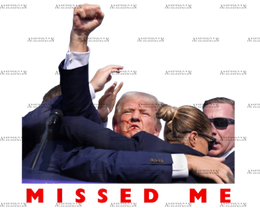 Missed Me DTF Transfer