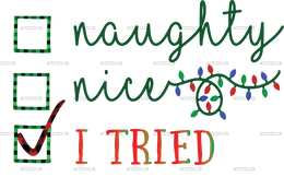 Naughty Nice I Tried DTF Transfer