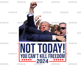 Not Today You Can't Kill Freedom 2024 DTF Transfer