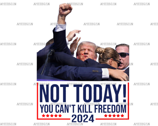 Not Today You Can't Kill Freedom 2024 DTF Transfer