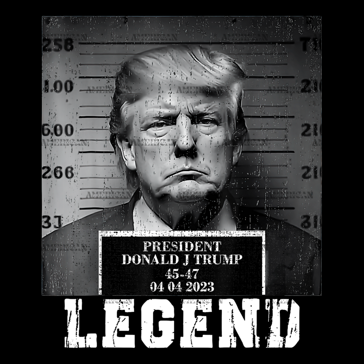 President Donald Trump Legend DTF Transfer