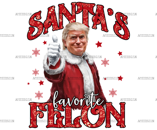 Santa's Favorite Felon-2 DTF Transfer