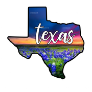 Texas Sunset Blue Bonnets DTF Transfer