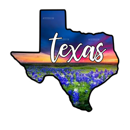 Texas Sunset Blue Bonnets DTF Transfer