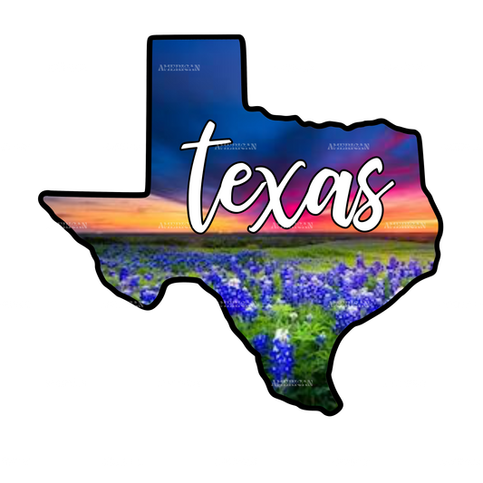 Texas Sunset Blue Bonnets DTF Transfer