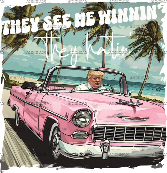 They See Me Winnin They Hatin Trump DTF Transfer