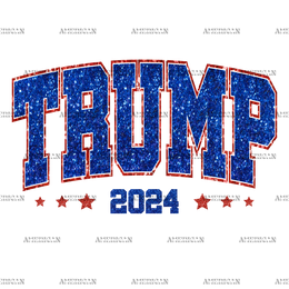 Trump 2024-2 DTF Transfer