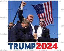 Trump 2024 Fight DTF Transfer