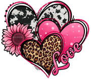 Valentines Day Western Hearts And Sunflower Cowhide DTF Transfer