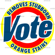 Vote Removes Stubborn Orange Stains DTF Transfer