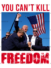 You Can't Kill Freedom DTF Transfer