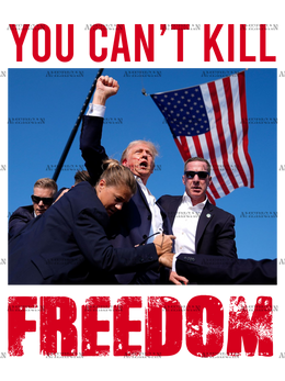You Can't Kill Freedom DTF Transfer