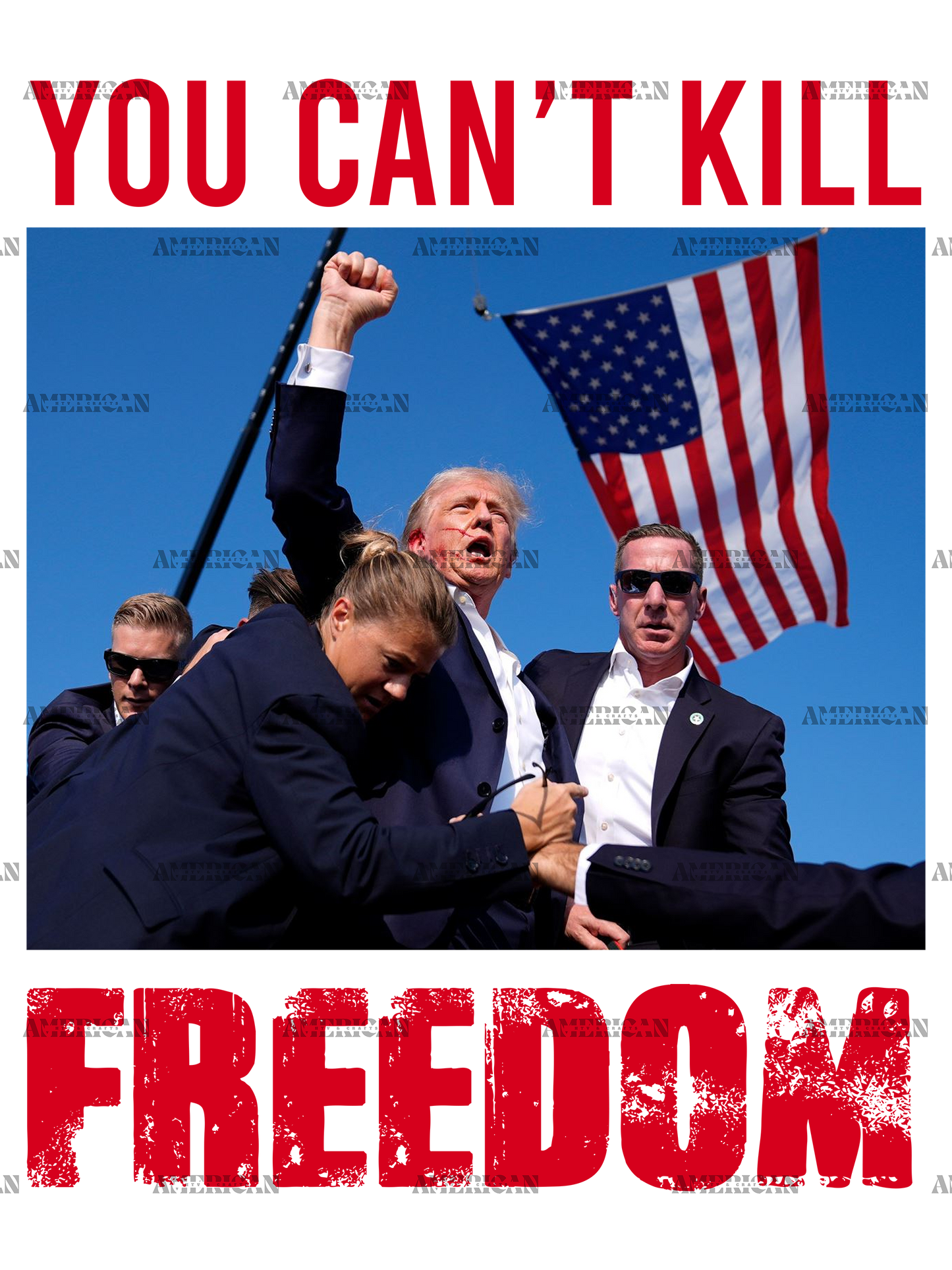 You Can't Kill Freedom DTF Transfer