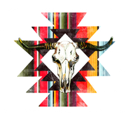 Aztec Serape Bull Skull DTF Transfer