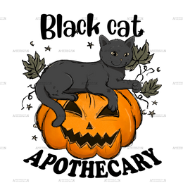 black cat apothecary DTF Transfer