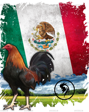 Gallo Rooster Dtf Transfer