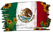 Mexican Flag Cactus Dtf Transfer