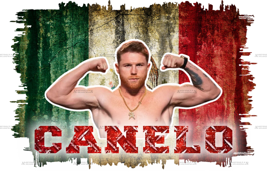 Mexican Flag Canelo DTF Transfer