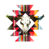Aztec Serape Bull Skull DTF Transfer