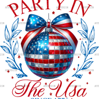 Party In The Usa Disco Ball DTF Transfer